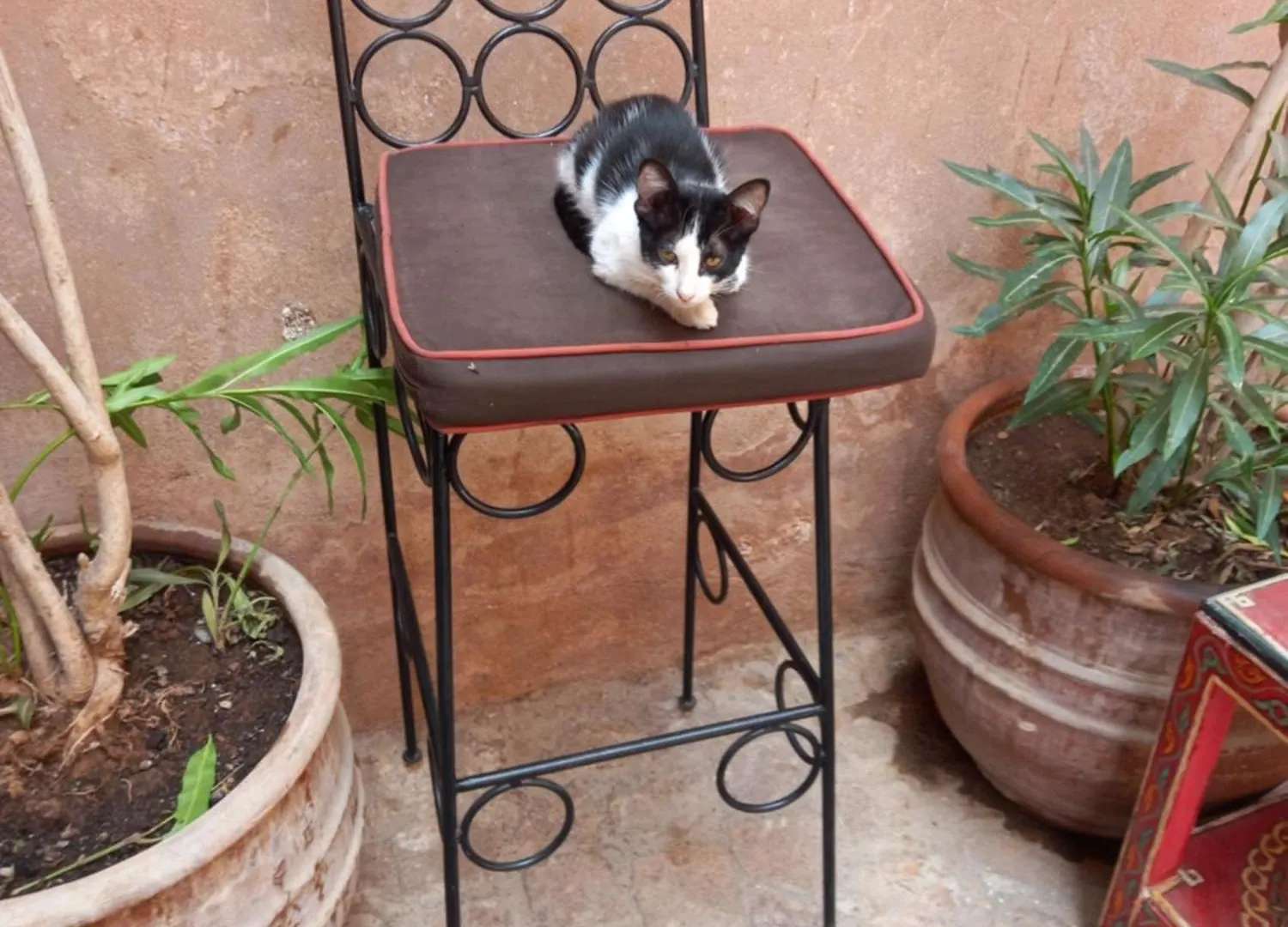 Bed & Breakfast Juli'S Bed and Breakfast Marrakesh