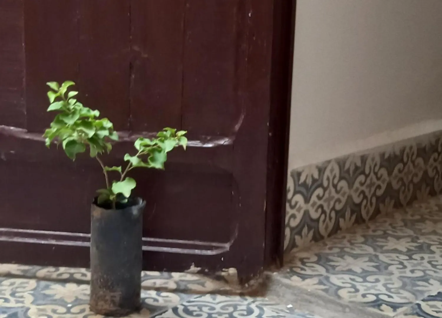 Bed & Breakfast Juli'S Bed and Breakfast Marrakesh